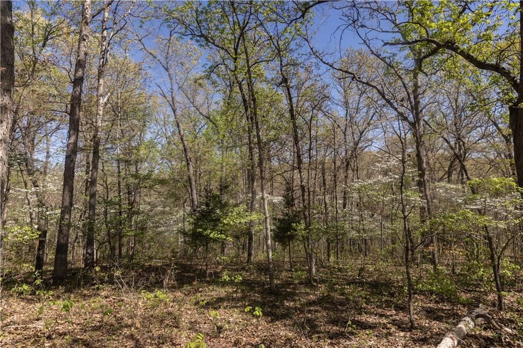 27064 Hickory Tree Lane — photo 69