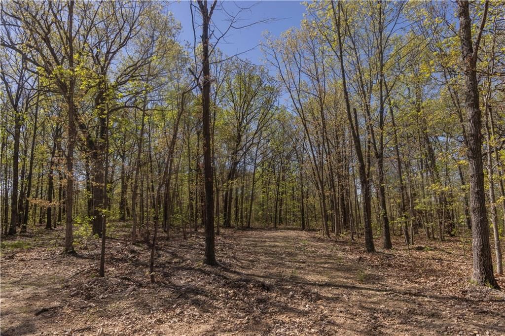 27064 Hickory Tree Lane — photo 73