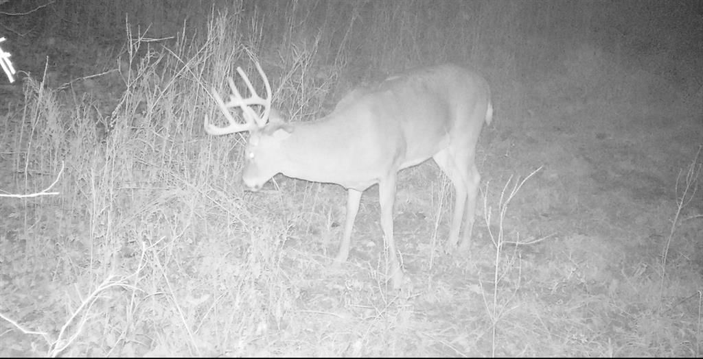 00000 Hatchell Road — photo 10