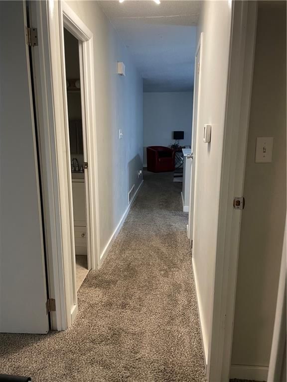 411 Lisa Lane — photo 14