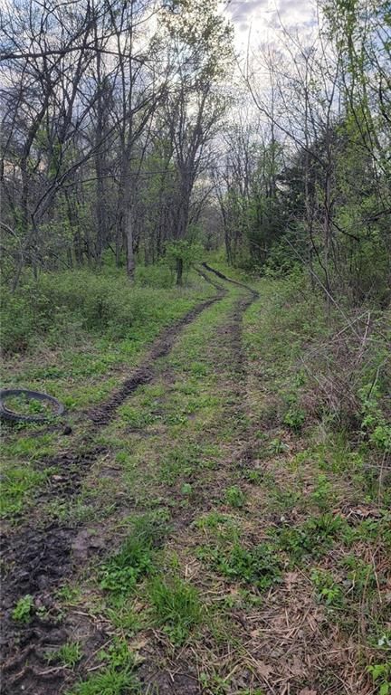 No Address Assigned Leanne Ln N/A — photo 2