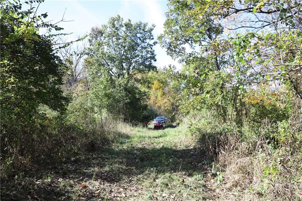 No Address Assigned Leanne Ln N/A — photo 11