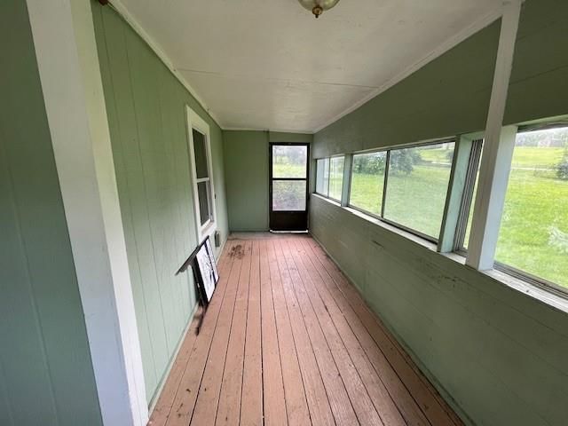919 Homestead Street — photo 17