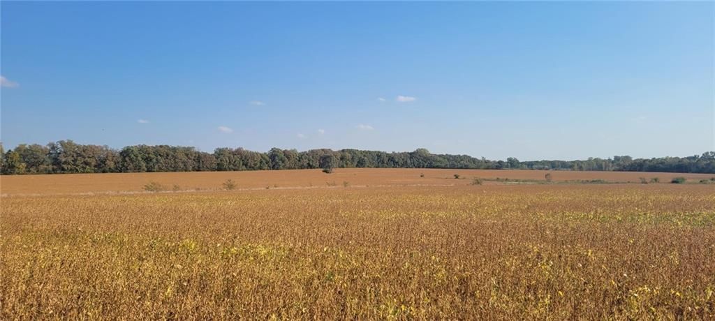 Lot 4 151st & Moonlight Street, County/Other, KS