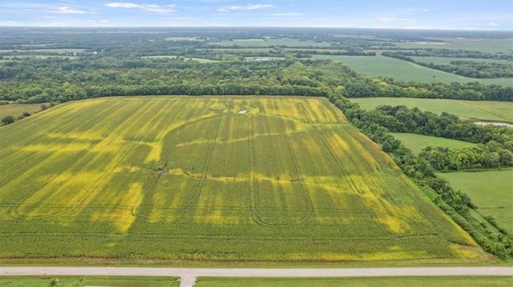 21 Acres Staley Mound Road — photo 4