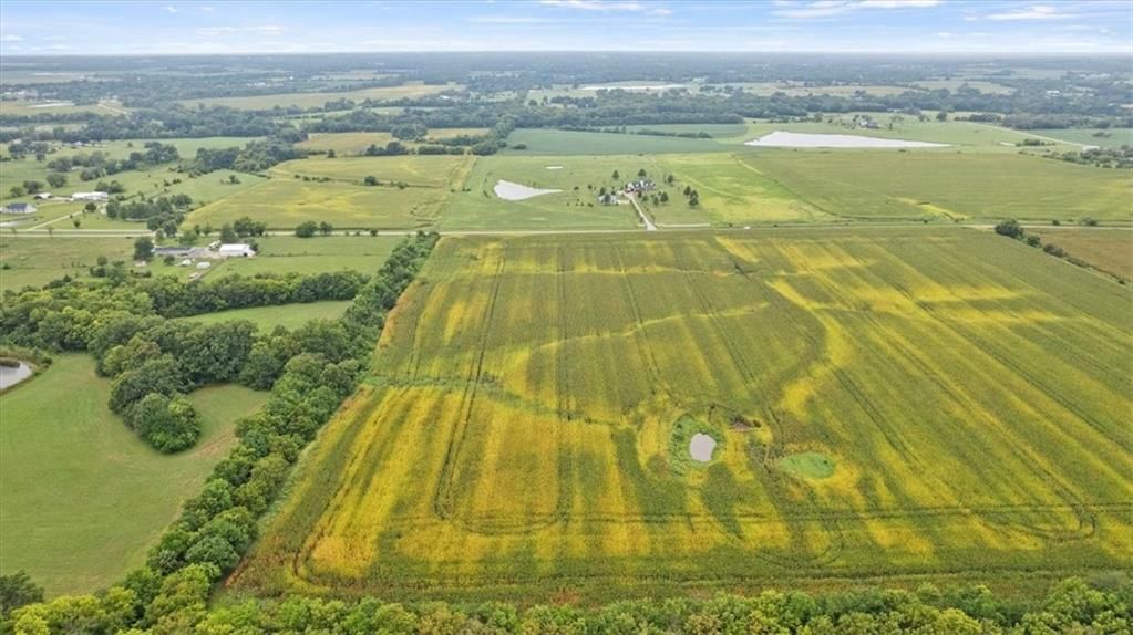 21 Acres Staley Mound Road — photo 5