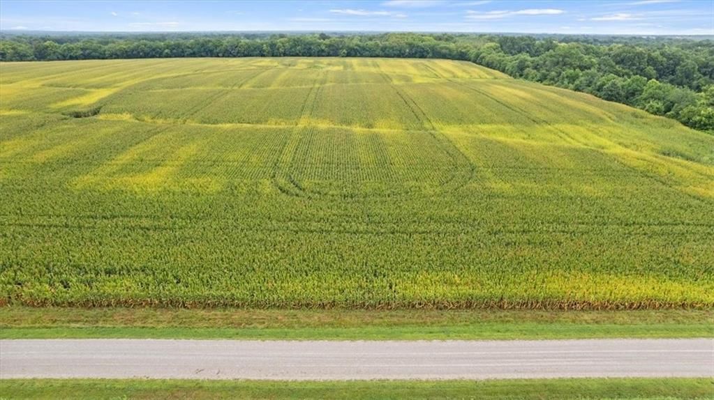 21 Acres Staley Mound Road — photo 9