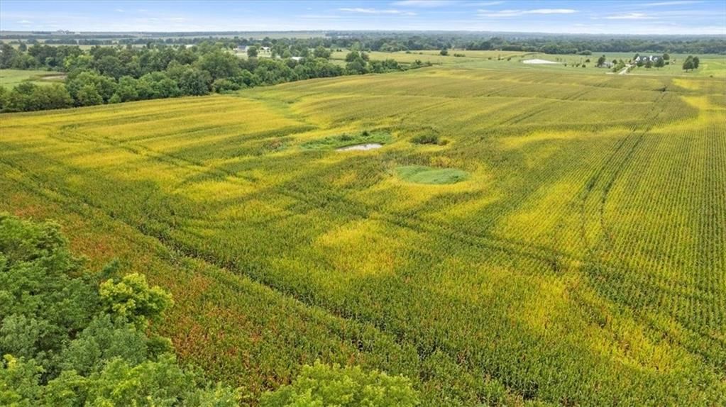 21 Acres Staley Mound Road — photo 11