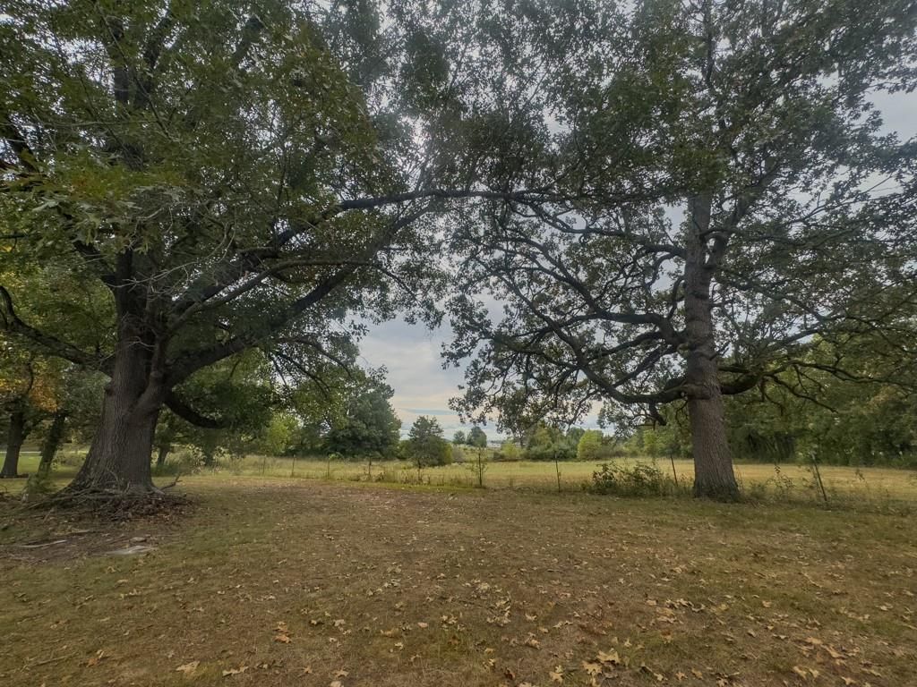 3805 State Highway 73 Highway — photo 35