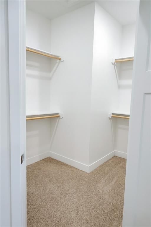 5014 Mulberry Terrace — photo 23
