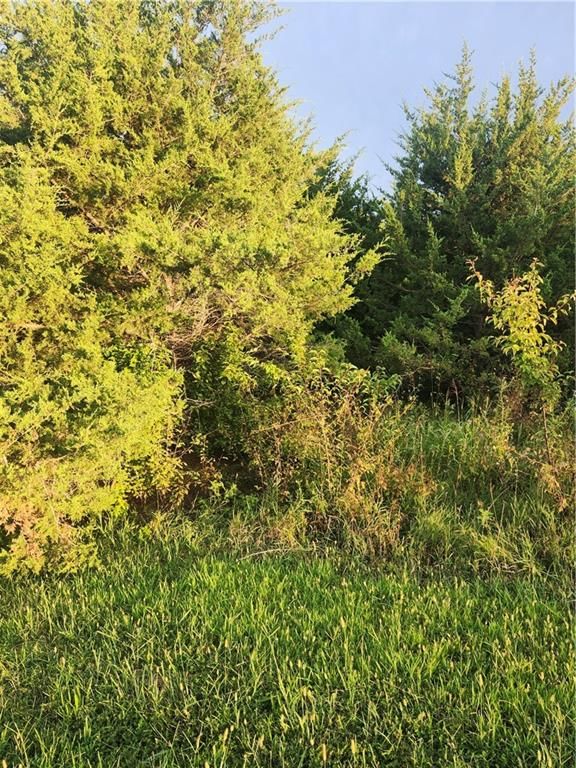 50 Maple Drive, Linn Valley, KS