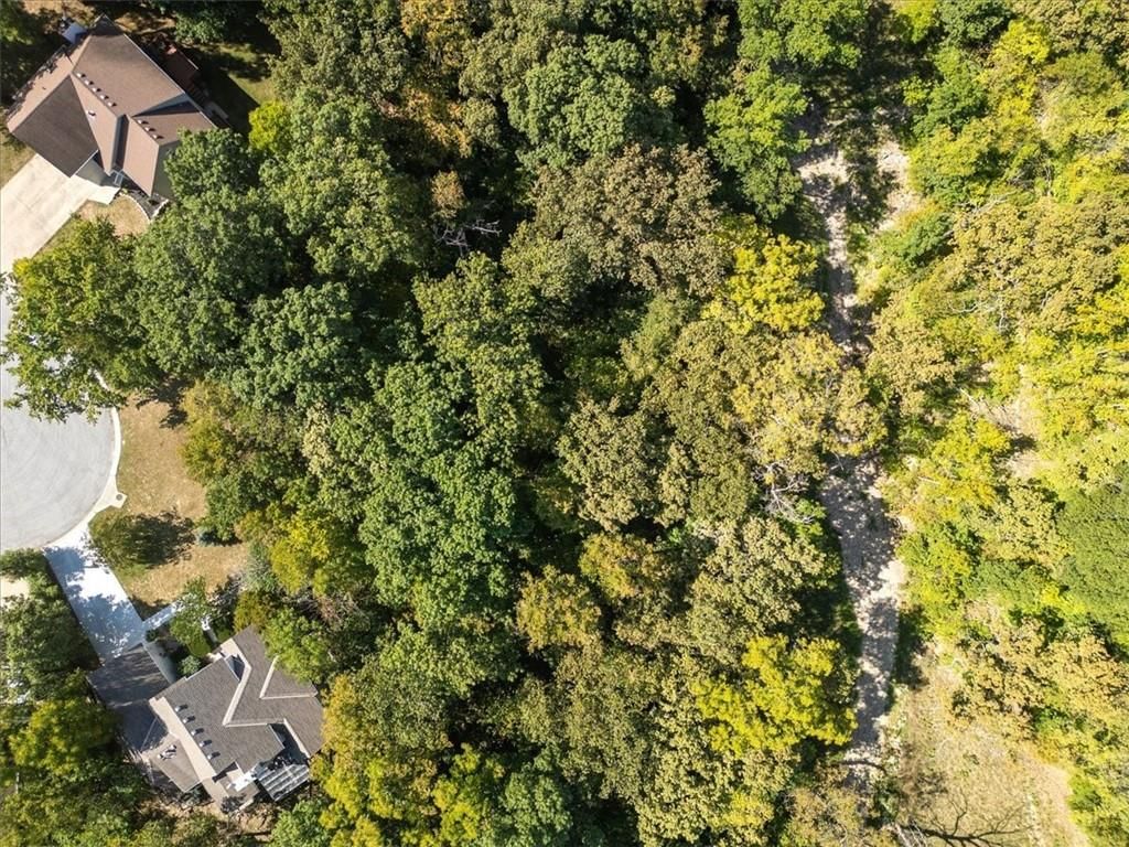 Photo 12 of 12 - 240 Whitlock Drive