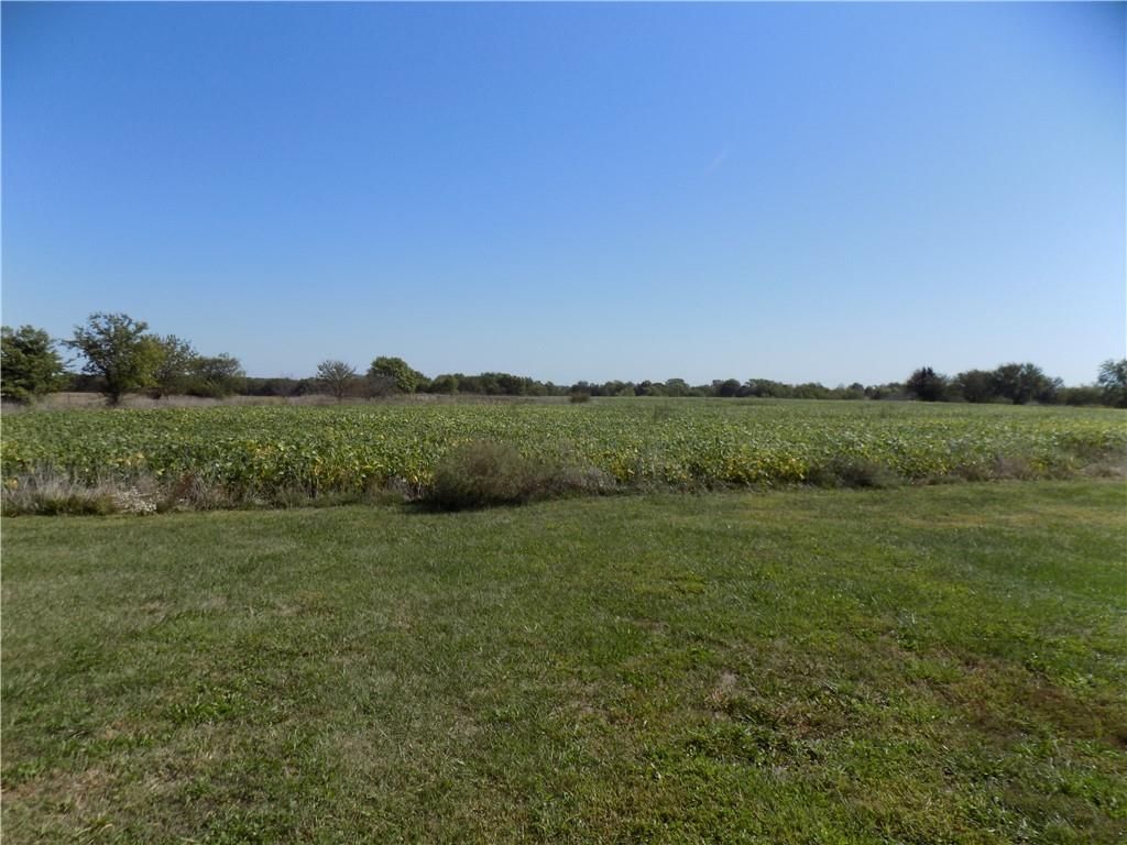 25141 Pressonville Road — photo 43
