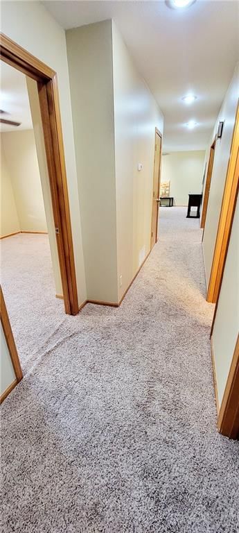 1516 E Lincoln Street — photo 10
