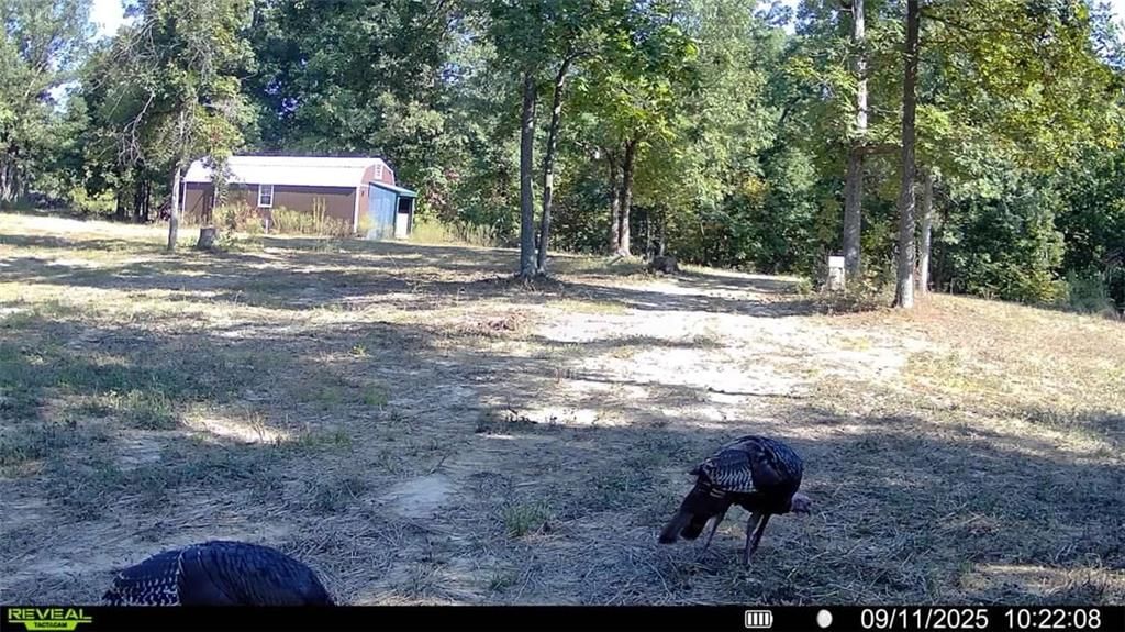 5480 State Route A Rural Route — photo 2