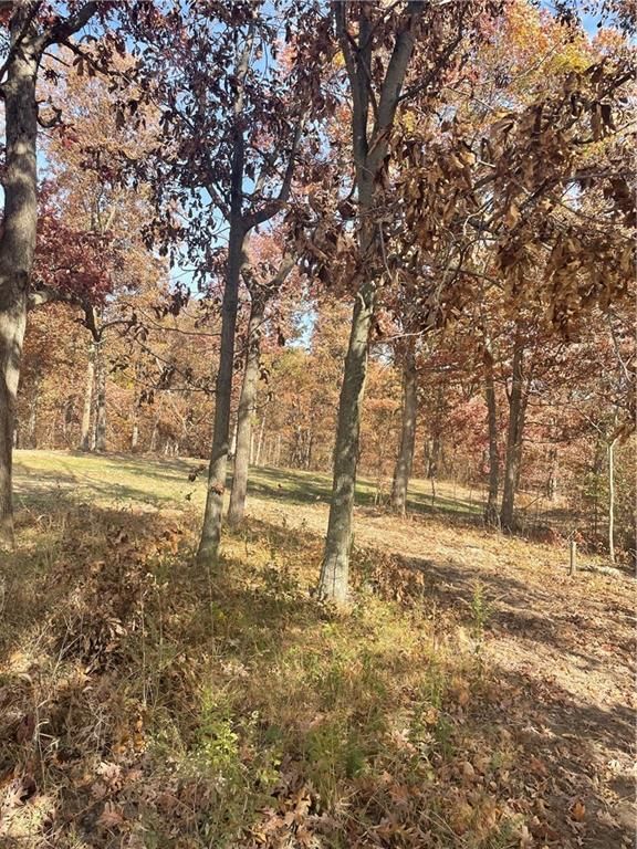 5480 State Route A Rural Route — photo 21