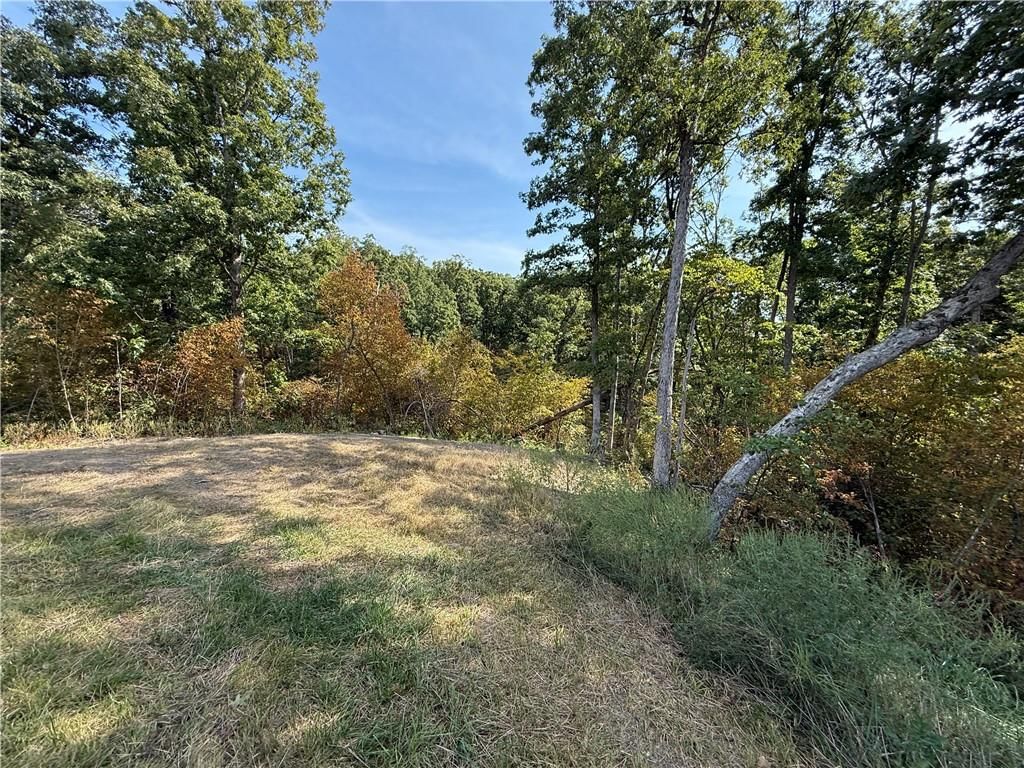 5480 State Route A Rural Route — photo 47