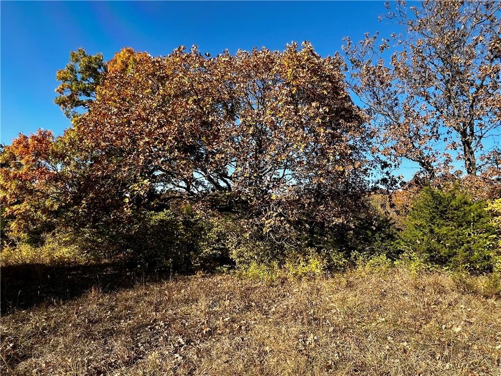 0 US 40 Highway — photo 29