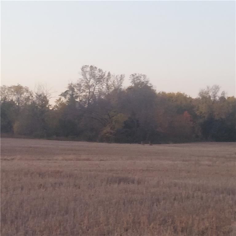 13-Acres E 315th Street — photo 3