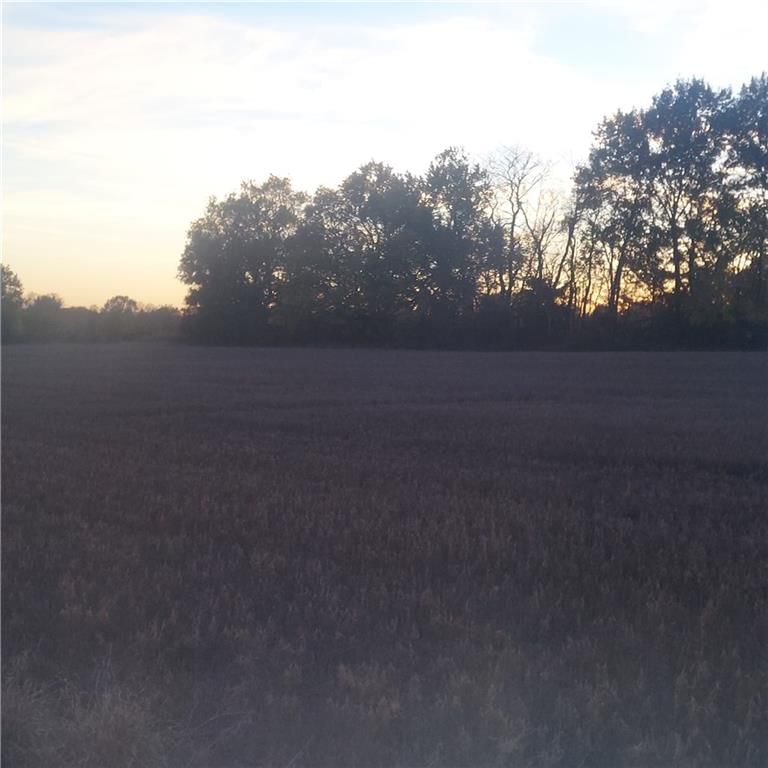 13-Acres E 315th Street — photo 5