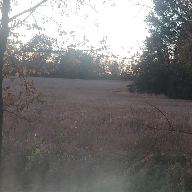 4-acres E 315th Street — photo 13