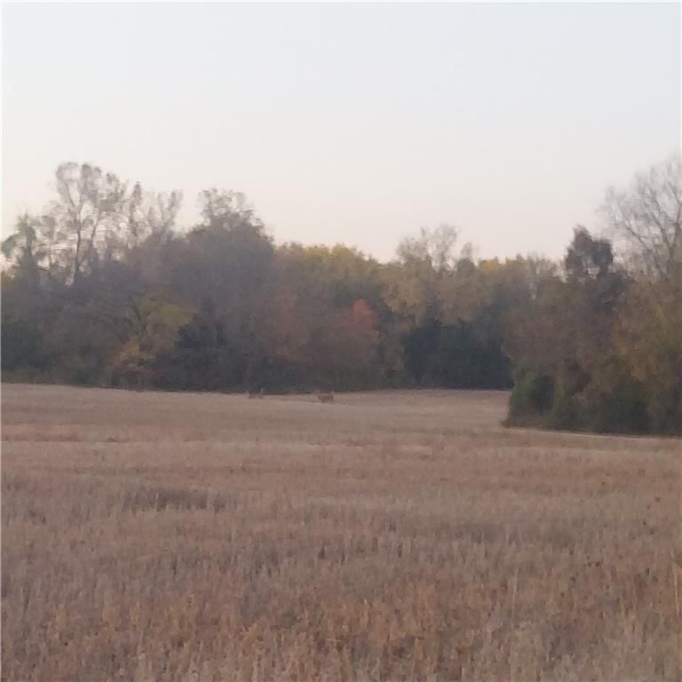 17-Acres E 315th Street — photo 2