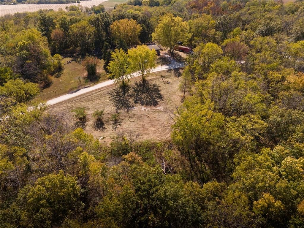 3697 Haynes Hill Road — photo 6