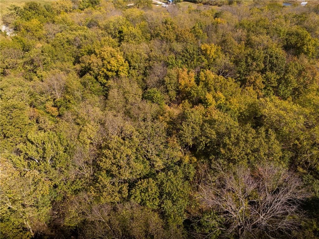 3697 Haynes Hill Road — photo 8
