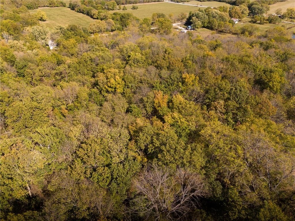 3697 Haynes Hill Road — photo 9