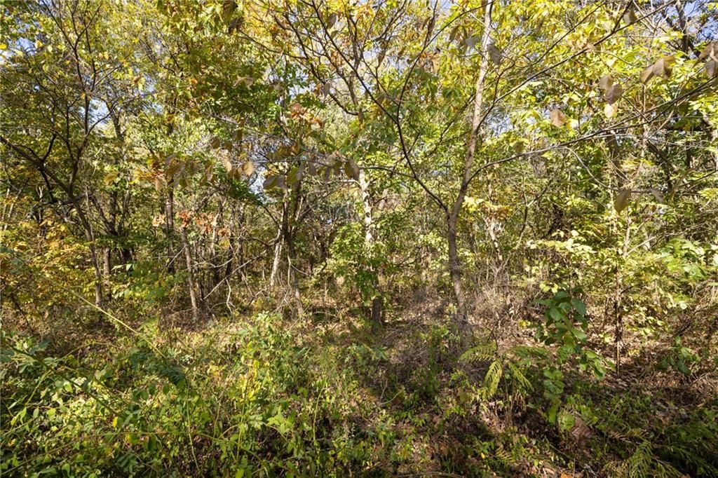 3697 Haynes Hill Road — photo 14