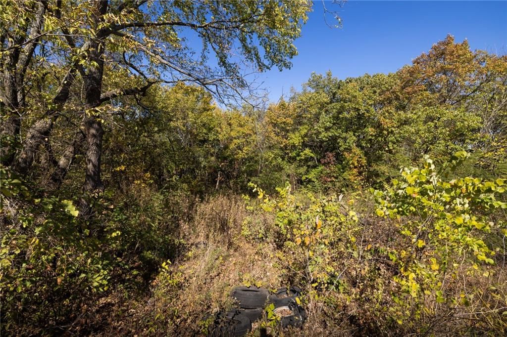 3697 Haynes Hill Road — photo 15