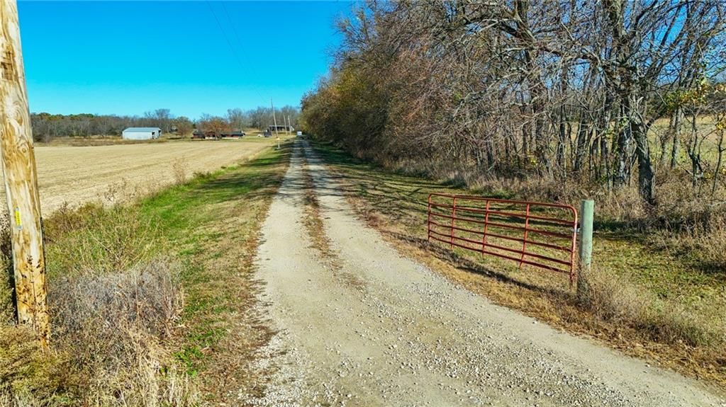 147 Osborne Road — photo 10