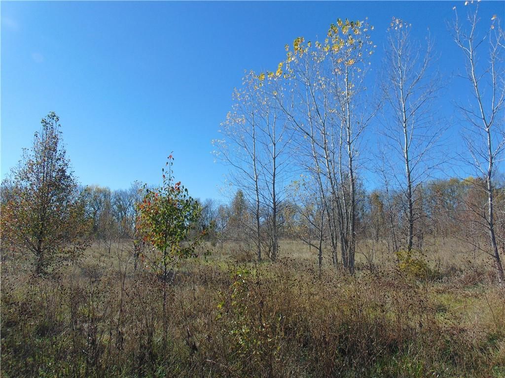 Krissy Bend Drive, Harrisonville, MO: listing photo 2