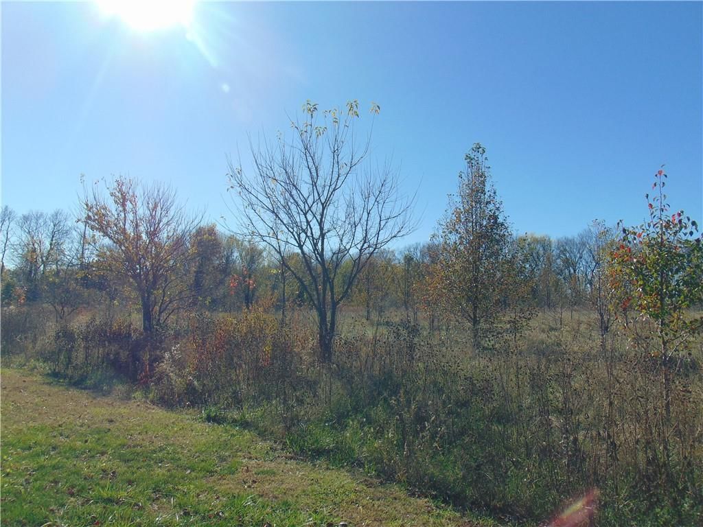 Krissy Bend Drive, Harrisonville, MO: listing photo 3