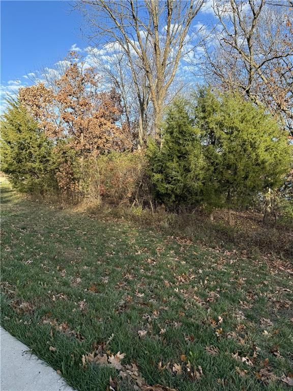 16505 MacAllister Court — photo 3