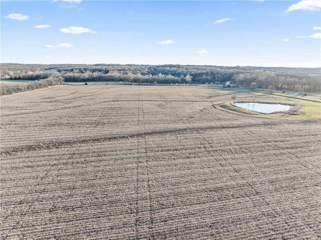 299th and Oak Grove Road — photo 12