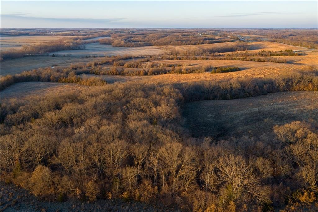 00 W State M Highway — photo 10