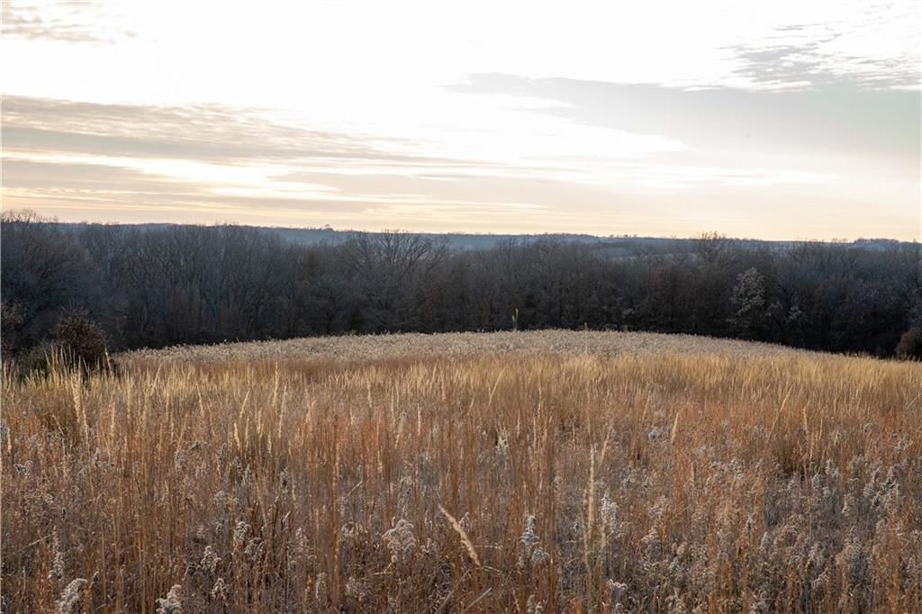 00 W State M Highway — photo 22