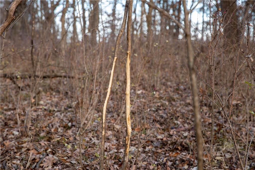 00 W State M Highway — photo 26