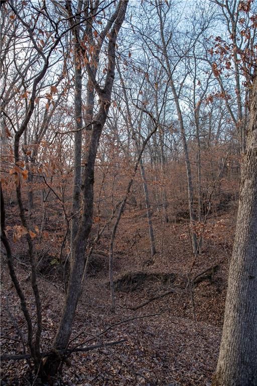 00 W State M Highway — photo 31