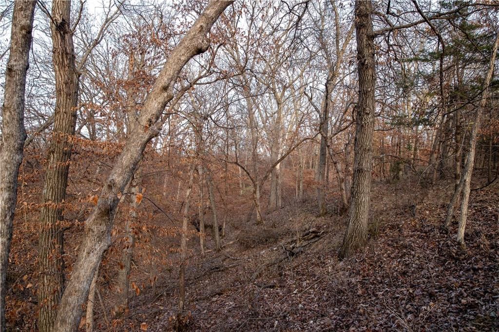 00 W State M Highway — photo 32