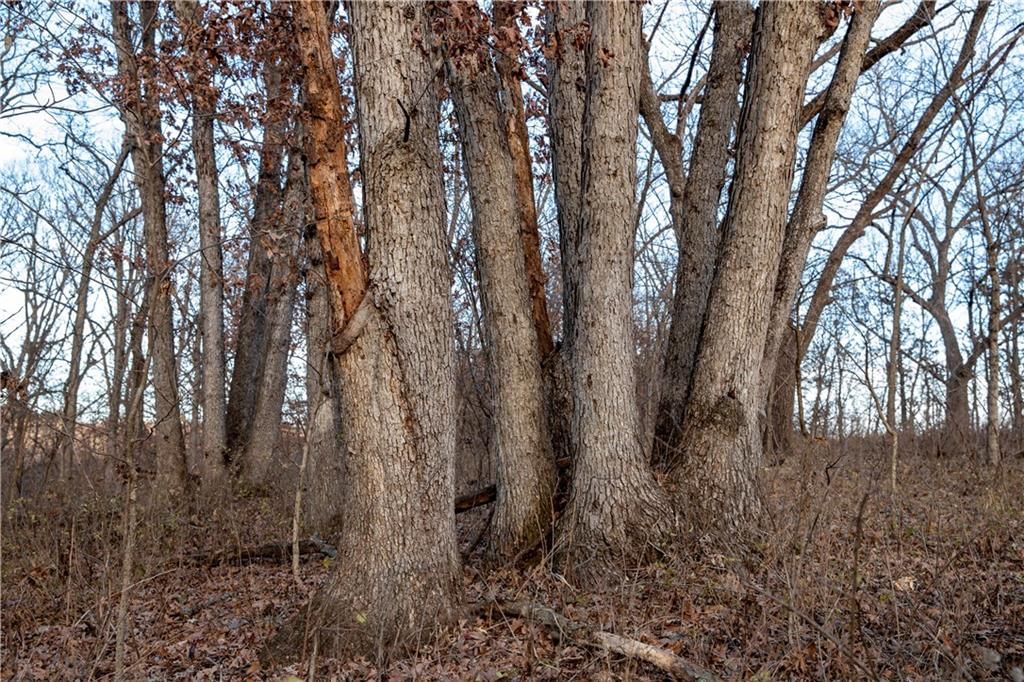 00 W State M Highway — photo 34