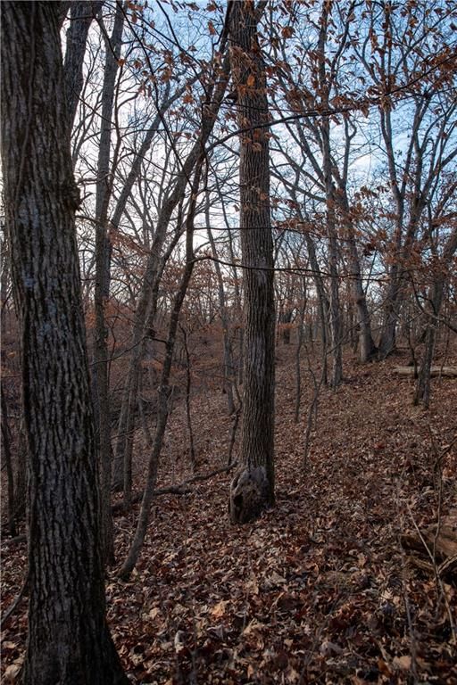 00 W State M Highway — photo 37