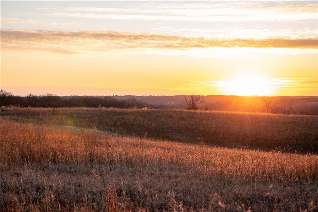 00 W State M Highway — photo 42