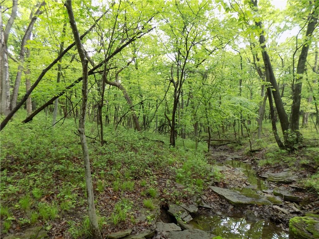 1267 Rock Creek Road — photo 11