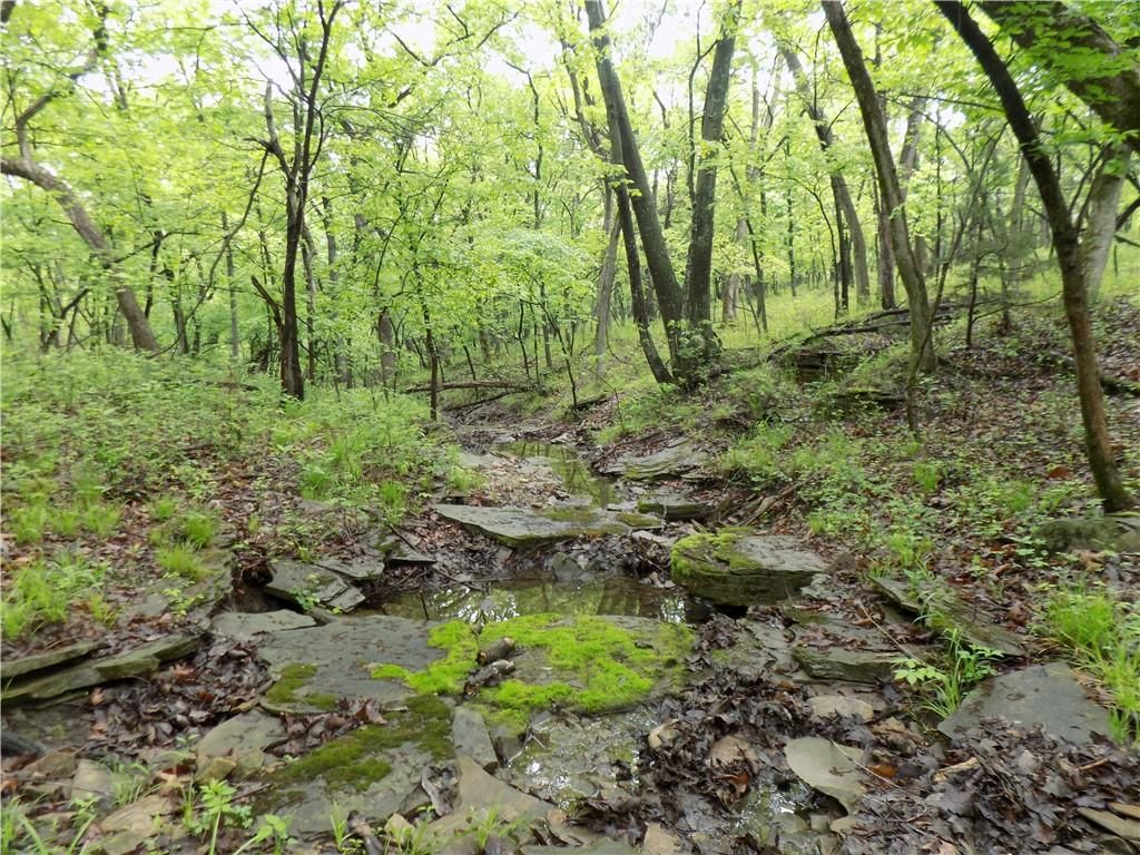 1267 Rock Creek Road — photo 12