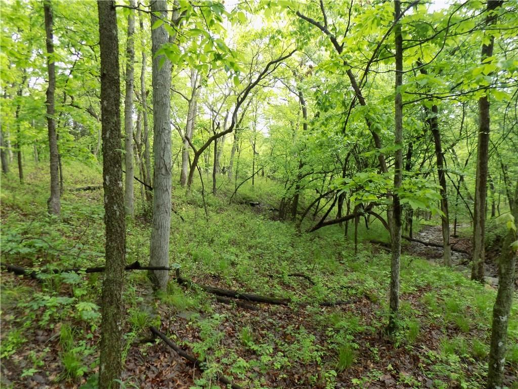 1267 Rock Creek Road — photo 17