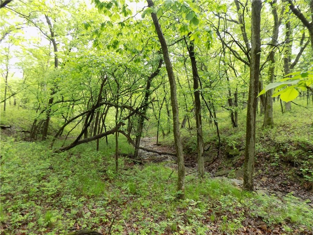 1267 Rock Creek Road — photo 18