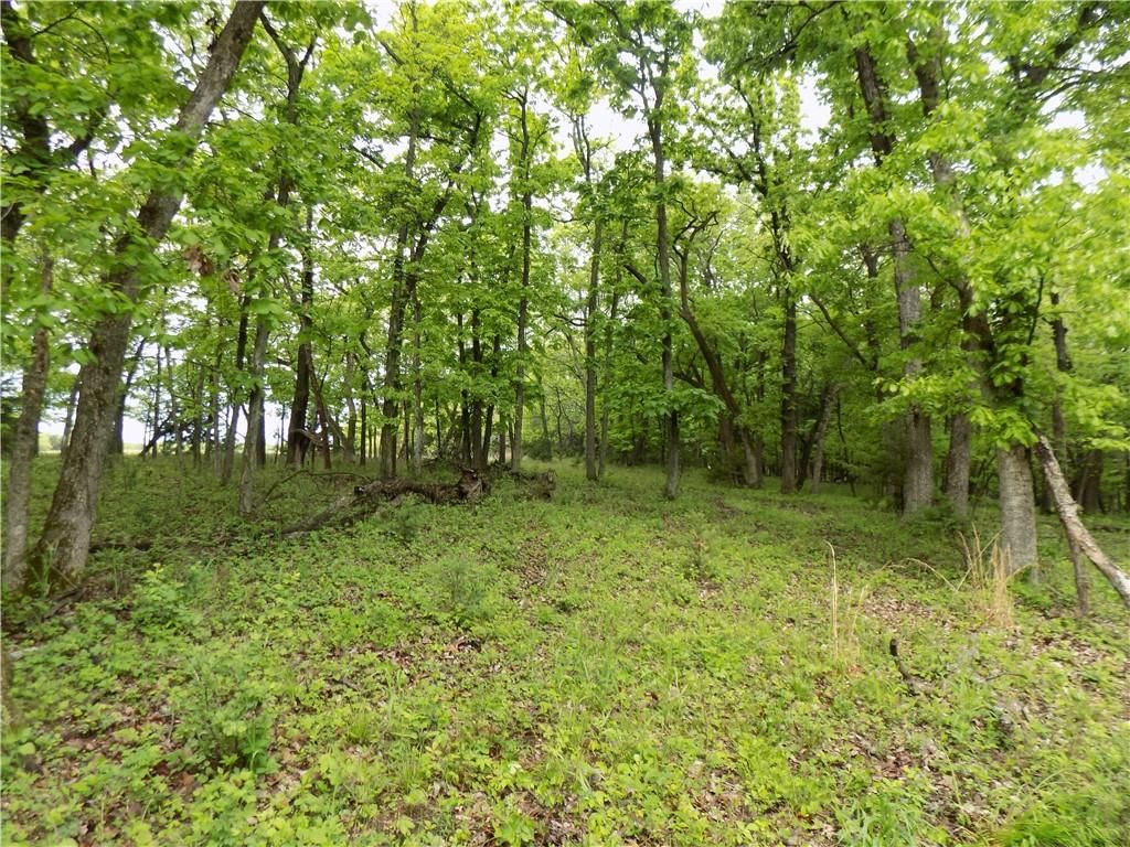 1267 Rock Creek Road — photo 28