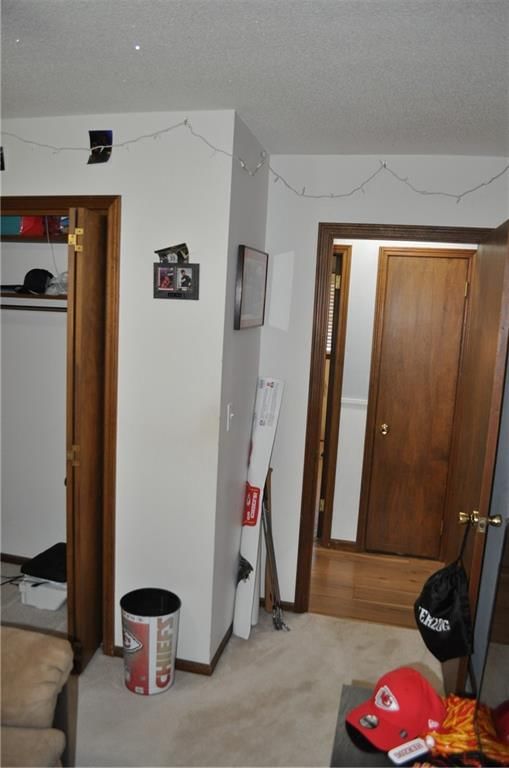 905 Sycamore Drive — photo 33
